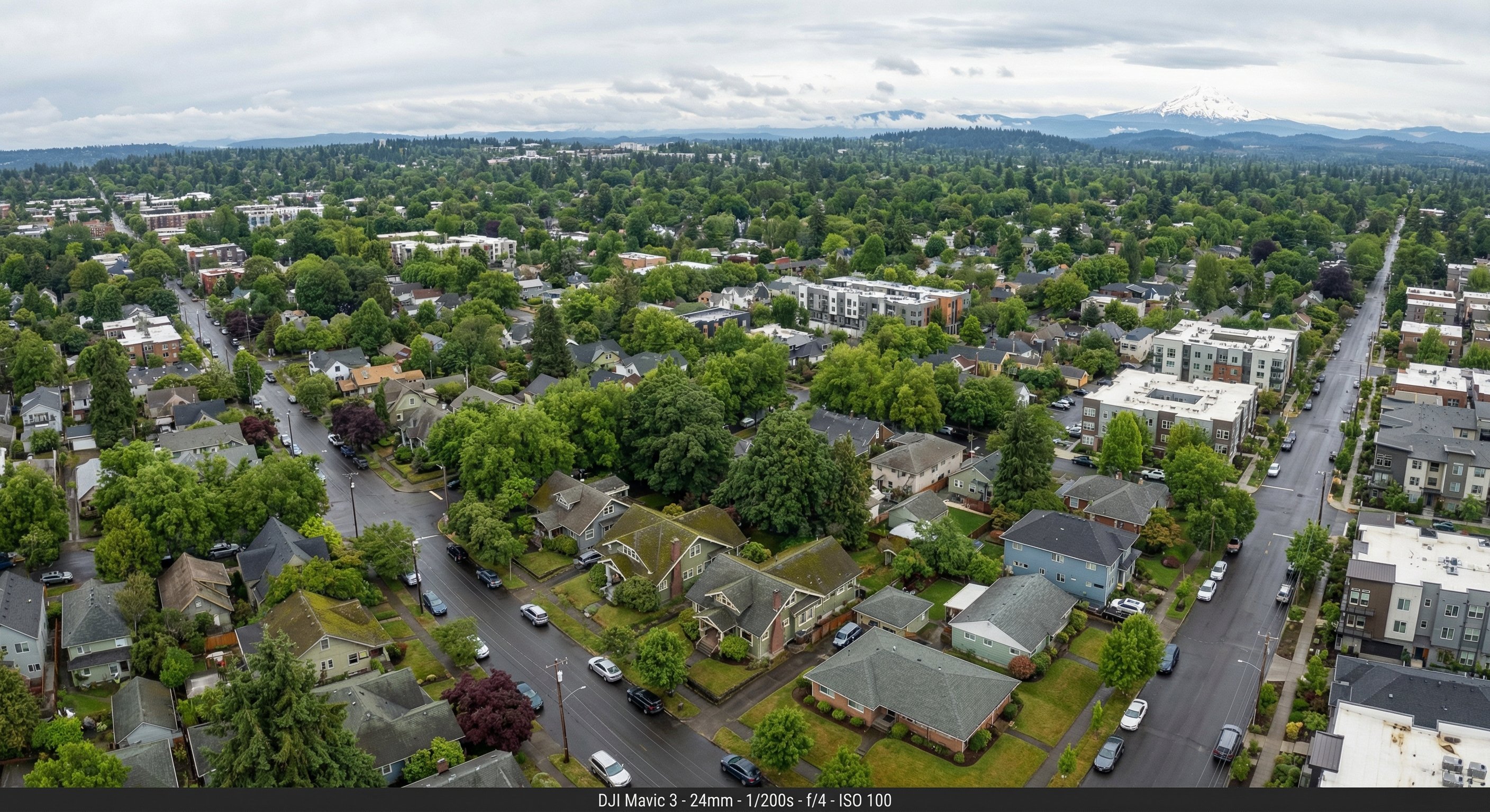 Aerial view of Portland metro neighborhood with Mount Hood on the horizon